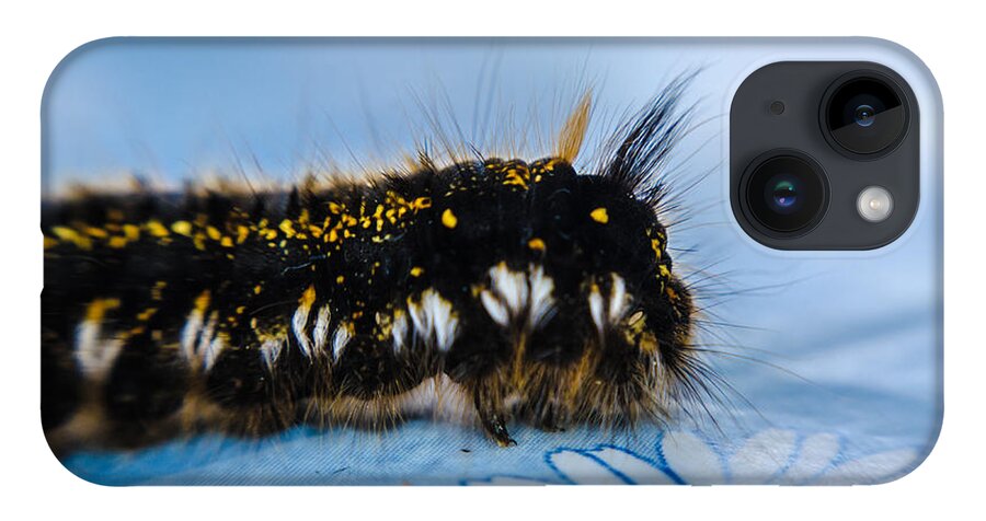 Insect iPhone 14 Case featuring the photograph Caterpillar on the table by Michael Goyberg