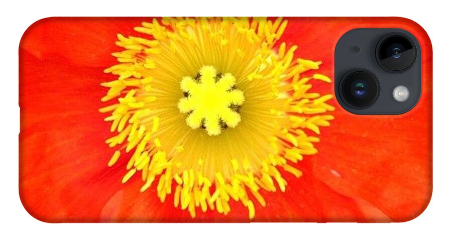 Vibrant iPhone 14 Case featuring the photograph Caught You Looking by Denise Railey