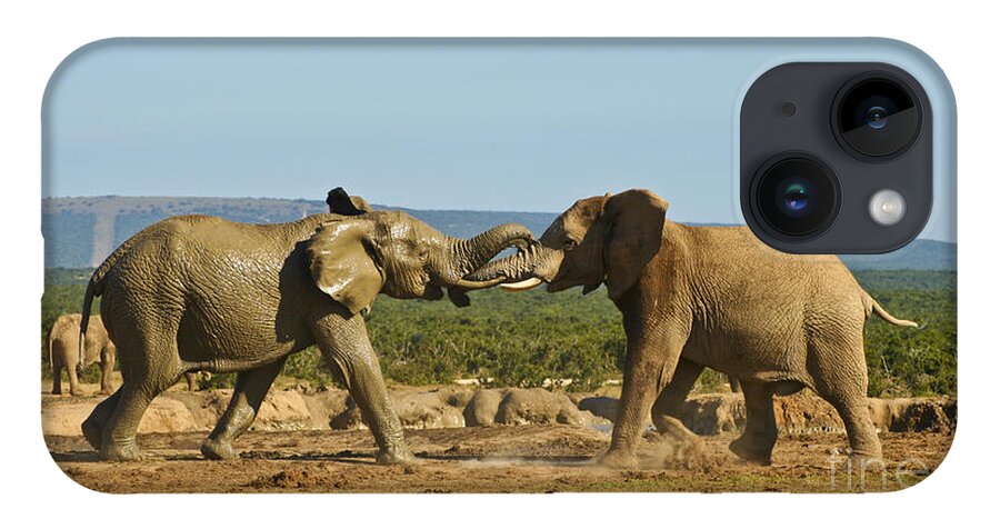 Elephant iPhone 14 Case featuring the photograph Charge by Jennifer Ludlum
