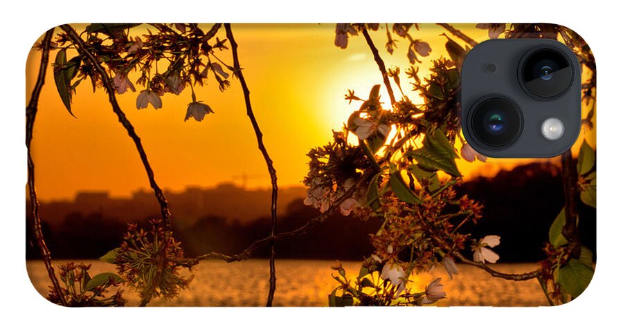America iPhone Case featuring the photograph Cherry Blossom Sunset by Mitchell R Grosky