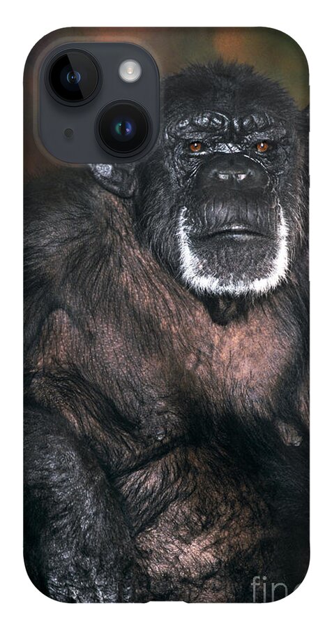Chimpanzee iPhone Case featuring the photograph Chimpanzee Portrait Endangered Species Wildlife Rescue by Dave Welling