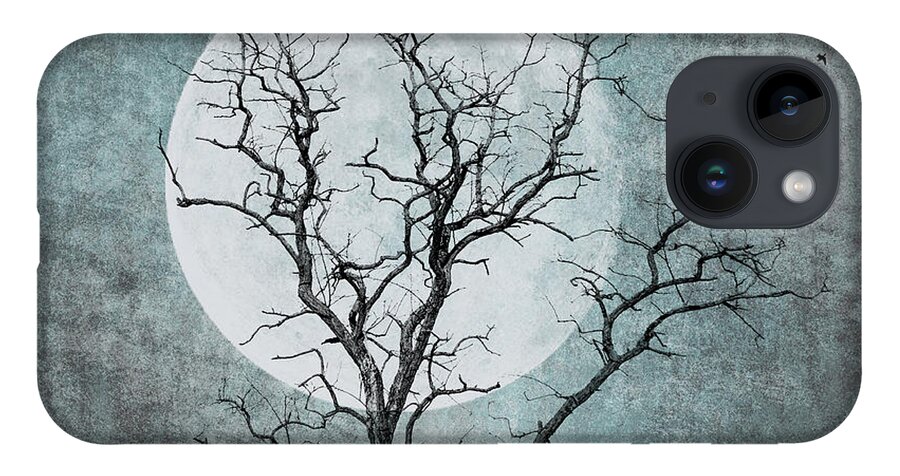 Tree iPhone 14 Case featuring the photograph Cold Winter Night by Cathy Kovarik