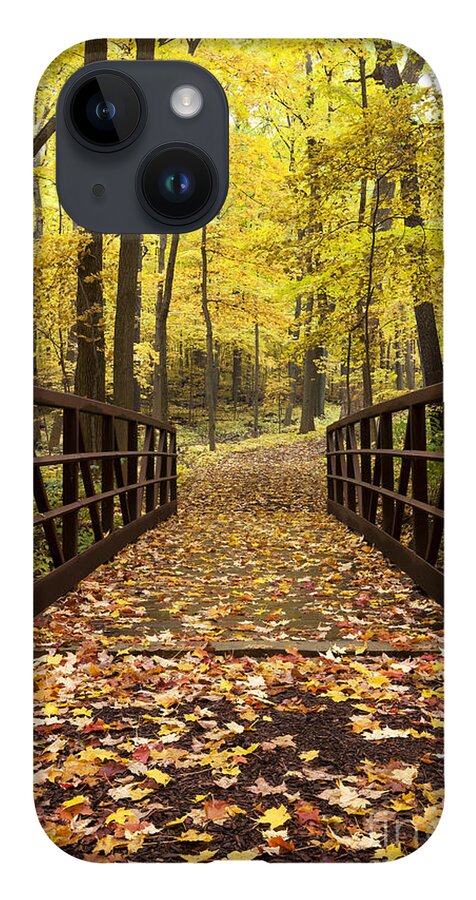 Autumn Trees iPhone 14 Case featuring the photograph Colors of Fall by Patty Colabuono