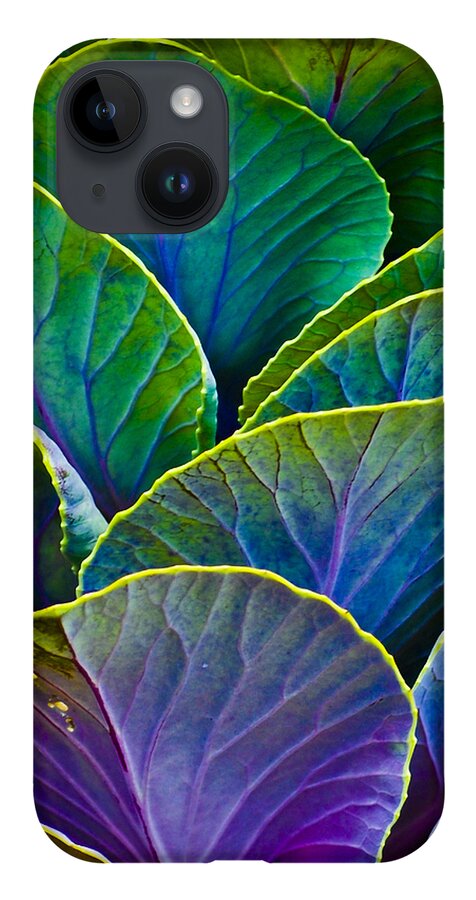 Organic iPhone 14 Case featuring the photograph Colors of the Cabbage Patch by Christi Kraft