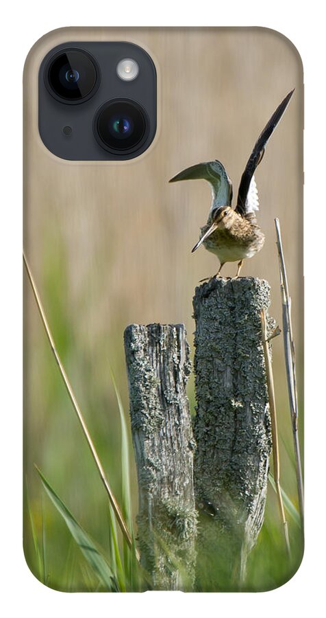 Common Snipe iPhone 14 Case featuring the photograph Common Snipe just leaving by Torbjorn Swenelius