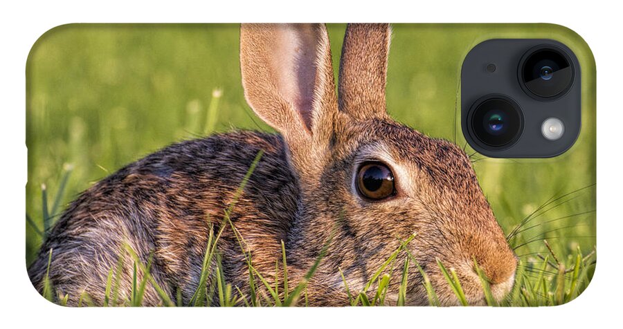Kansas iPhone 14 Case featuring the photograph Cottontail by Rob Graham