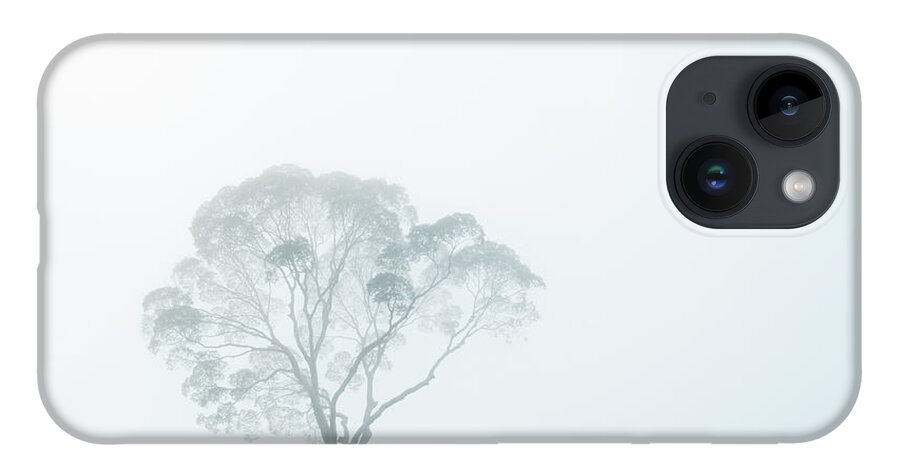 Crown iPhone 14 Case featuring the photograph Crown Of Tall Dipterocarp Tree In by Anders Blomqvist