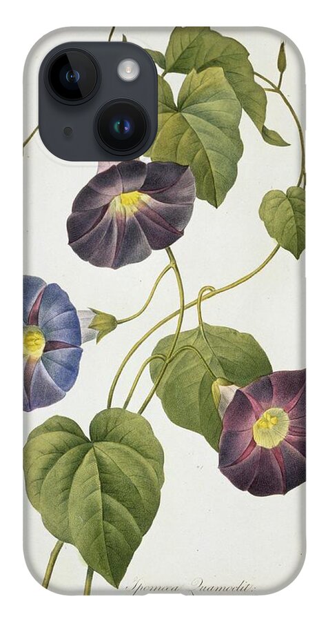 Illustration iPhone 14 Case featuring the photograph Cypress Vine Ipomoea Quamoclit by Natural History Museum, London/science Photo Library