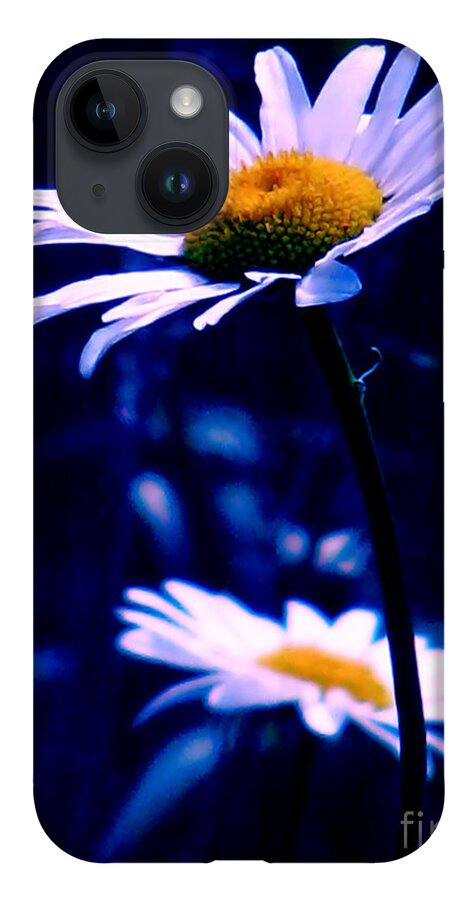 Nature iPhone Case featuring the photograph Daisies In The Blue Realm by Rory Siegel