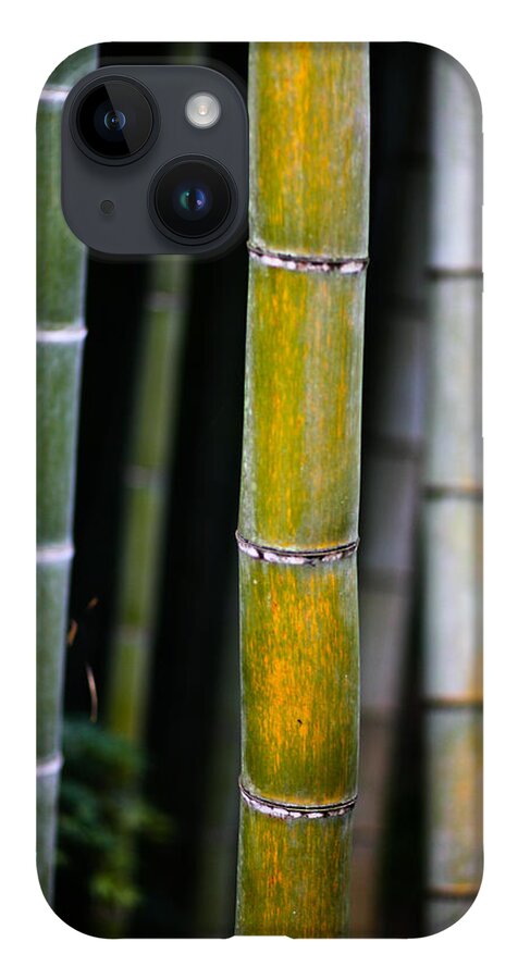 Bamboo iPhone 14 Case featuring the photograph Dark Bamboo by Brad Brizek