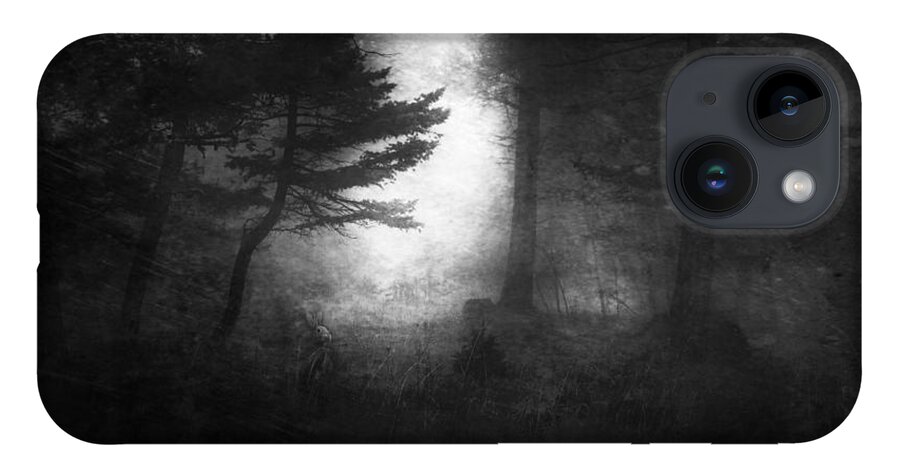 Rabbit iPhone Case featuring the photograph Deep In The Dark Woods by Theresa Tahara