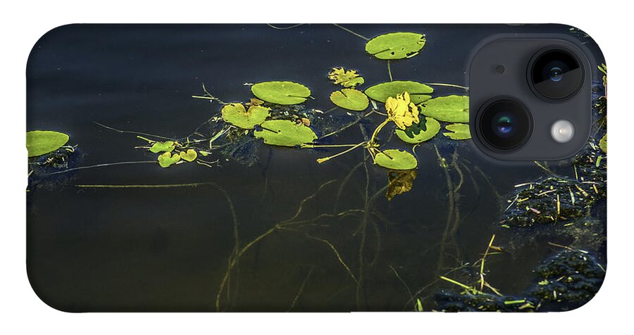 Lilly Pad iPhone 14 Case featuring the photograph Deep Roots by Dale Powell