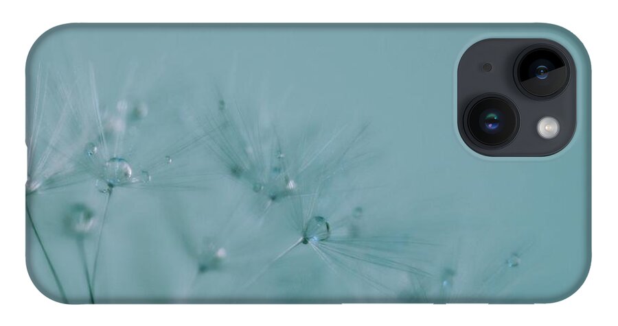 Dandelion iPhone Case featuring the photograph Dew Drops on Dandelion Seeds by Marianna Mills