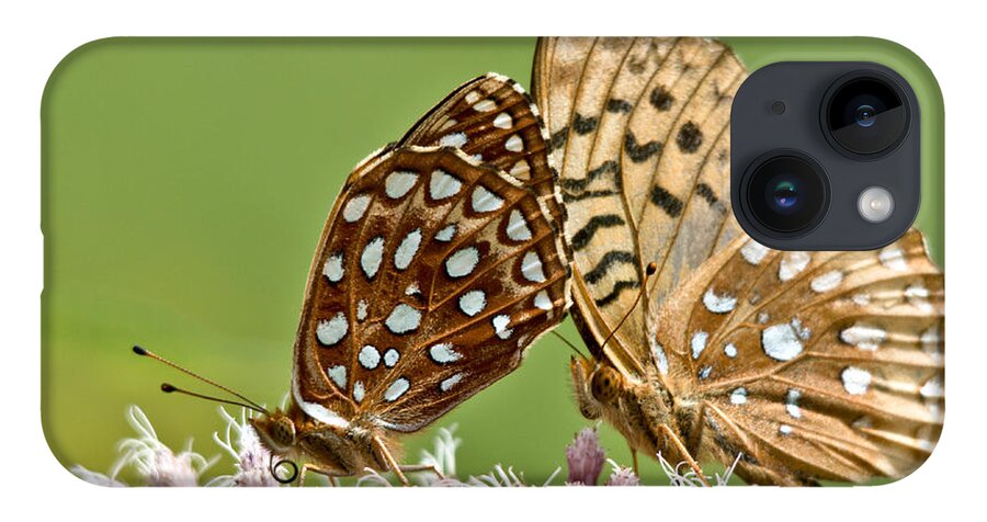 Butterflies iPhone 14 Case featuring the photograph Dinner for Two by Cheryl Baxter