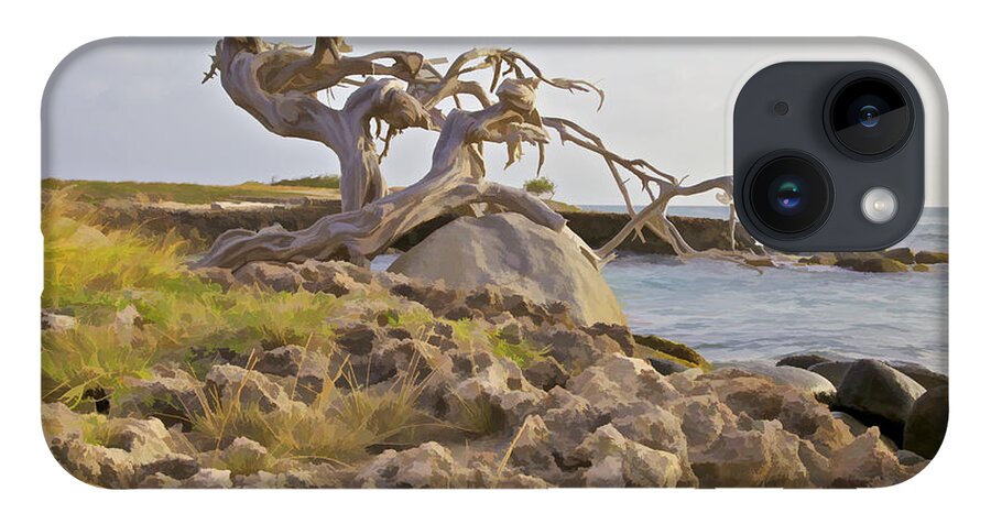 Aruba iPhone Case featuring the photograph Divi Divi Tree on the Coastline of Aruba by David Letts