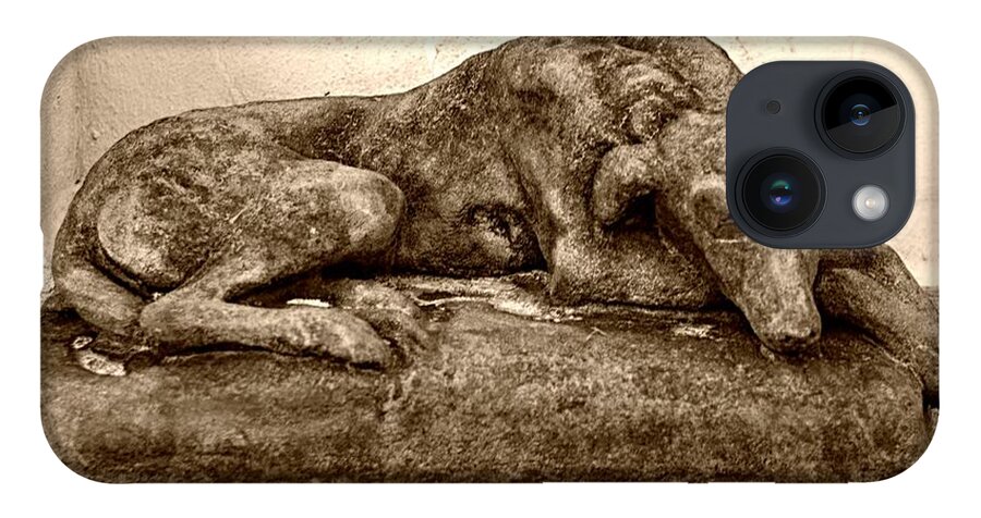 Dog iPhone 14 Case featuring the photograph Dog Sculpture by John Harmon