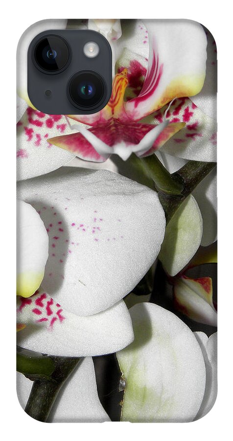 White Orchids iPhone 14 Case featuring the photograph Dots and Splashes of Pink on Orchid by Kim Galluzzo Wozniak