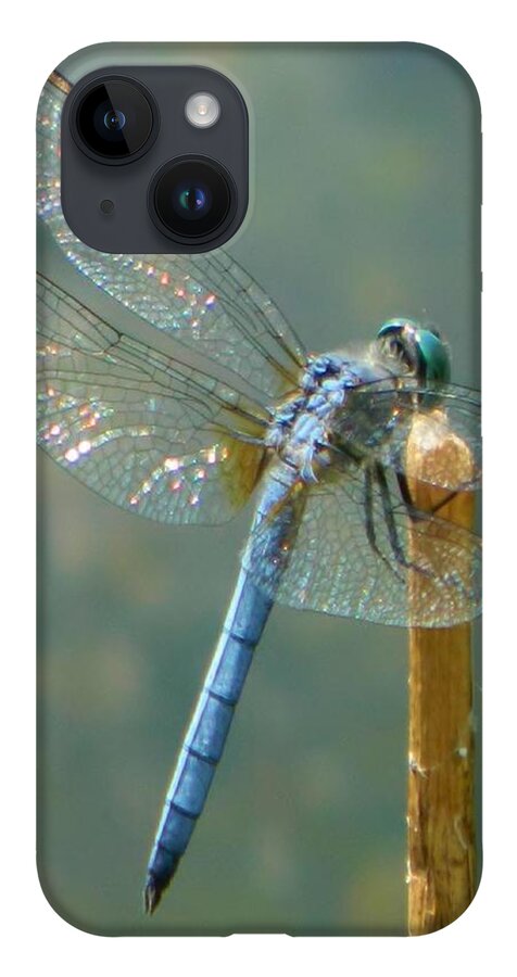 Lake iPhone 14 Case featuring the photograph Dragonfly on Stick by Gallery Of Hope 