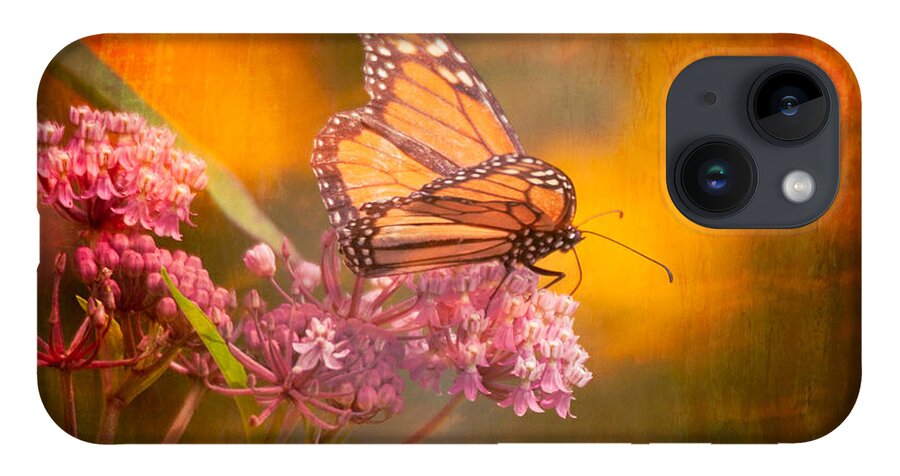 Salem iPhone Case featuring the photograph Dream Gatherer by Jeff Folger