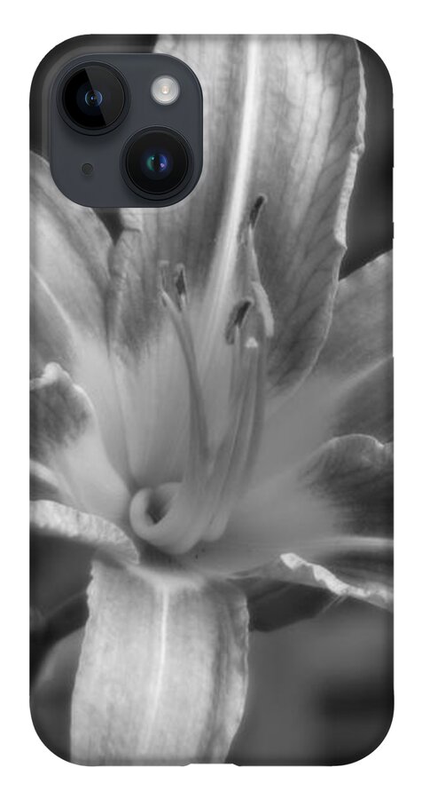 Floral iPhone Case featuring the photograph Dream of Lily by Lisa Blake