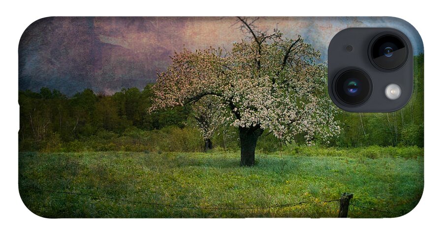 Image By Jeff Folger iPhone Case featuring the photograph Dream of Spring by Jeff Folger