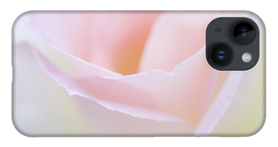 Rose iPhone 14 Case featuring the photograph Dreamy Rose by Patty Colabuono