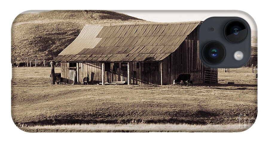 Old Barn iPhone 14 Case featuring the photograph Durham California Barn by Kathleen Gauthier