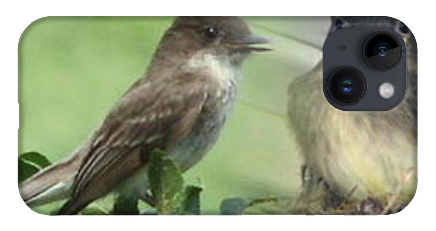 Birds iPhone Case featuring the photograph Eastern Phoebe Family by Natalie Rotman Cote