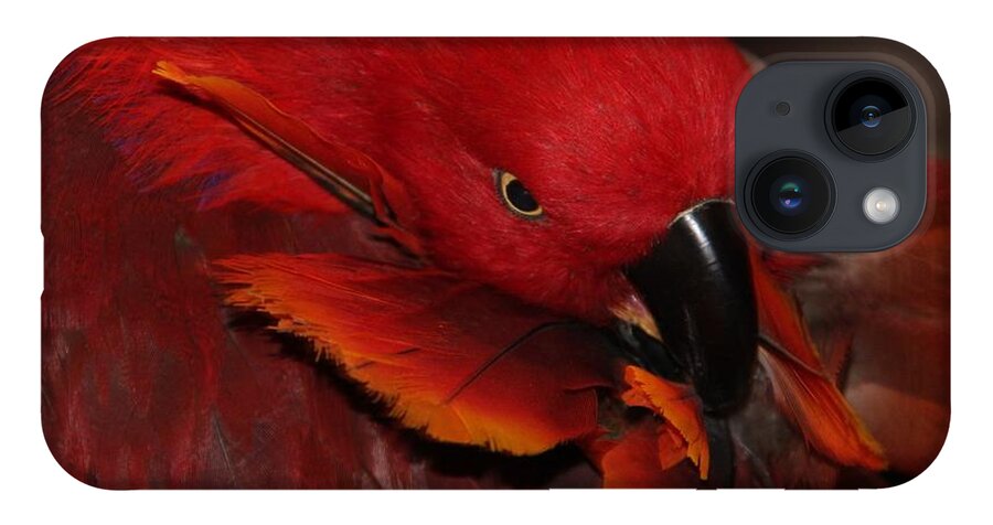 Eclectus iPhone 14 Case featuring the photograph Eclectus Victoria by Andrea Lazar