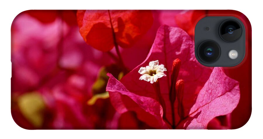 Bougainvillea iPhone 14 Case featuring the photograph Electric Pink Bougainvillea by Rona Black