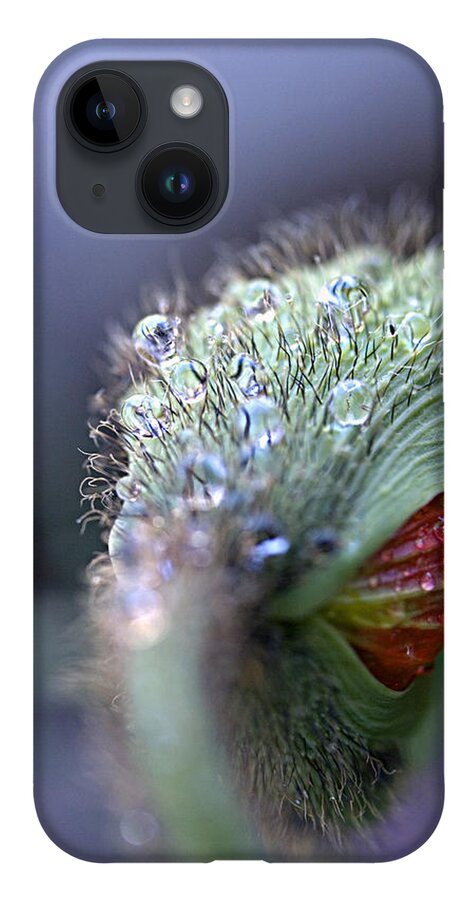 Iceland Poppy iPhone 14 Case featuring the photograph Emergence by Joe Schofield