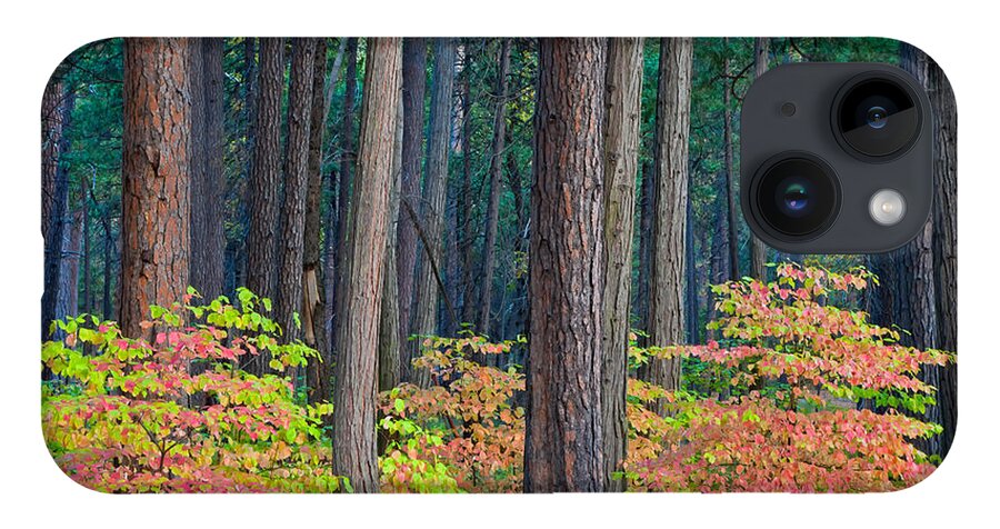 Landscape iPhone 14 Case featuring the photograph Enchanted Forest by Jonathan Nguyen