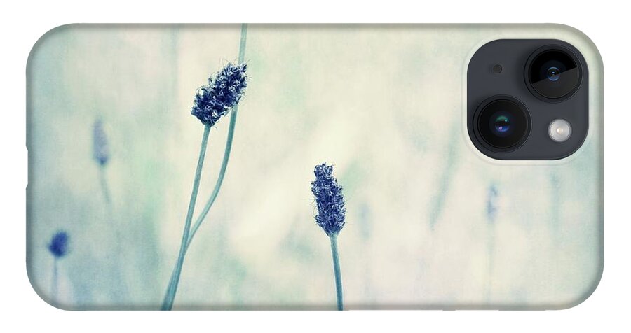 Blue iPhone 14 Case featuring the photograph Endearing by Priska Wettstein