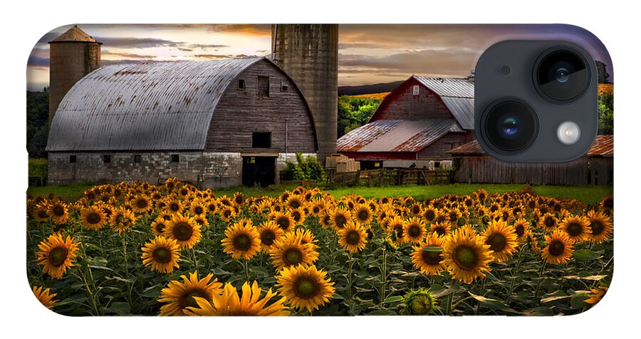 Barn iPhone 14 Case featuring the photograph Evening Sunflowers by Debra and Dave Vanderlaan