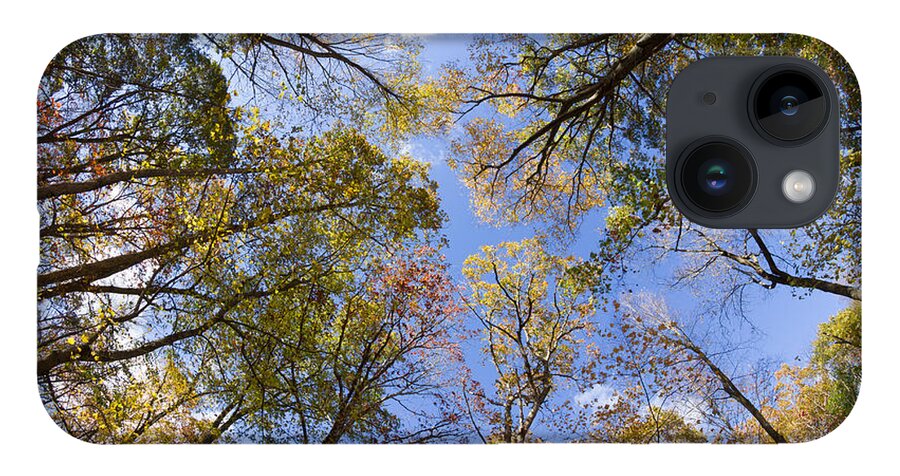 Fall Foliage iPhone 14 Case featuring the photograph Fall Foliage - Look Up 2 by Kirkodd Photography Of New England