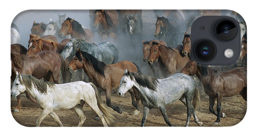 00340233 iPhone Case featuring the photograph Family Band Of Mustangs by Yva Momatiuk and John Eastcott