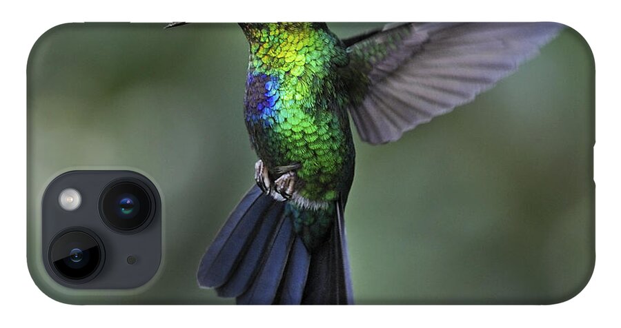 Fiery-throated Hummingbird iPhone 14 Case featuring the photograph Fiery-throated Hummingbird.. by Nina Stavlund