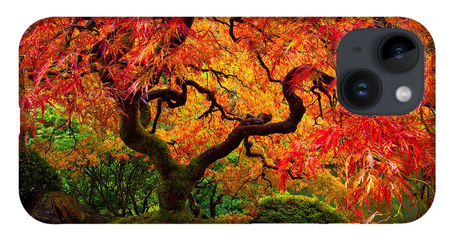 Portland iPhone 14 Case featuring the photograph Flaming Maple by Darren White
