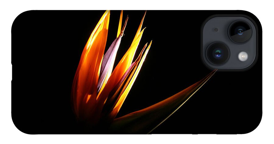 Photography iPhone 14 Case featuring the photograph Flor Encendida Detalle by Francisco Pulido