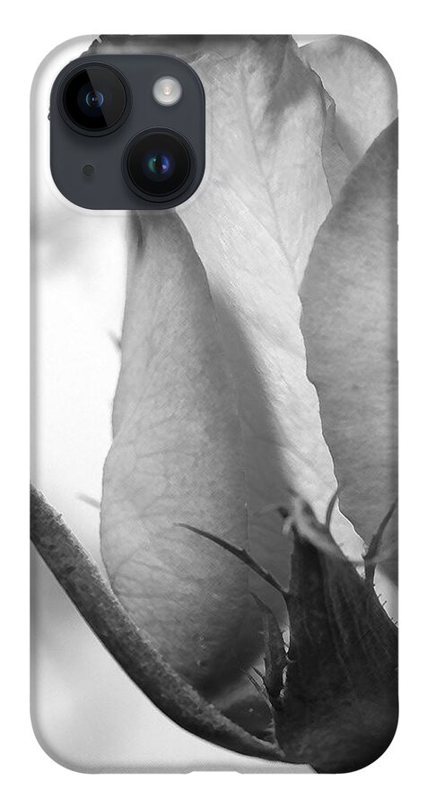 Blooming Rose iPhone 14 Case featuring the photograph Blooming Rose by Mike McGlothlen