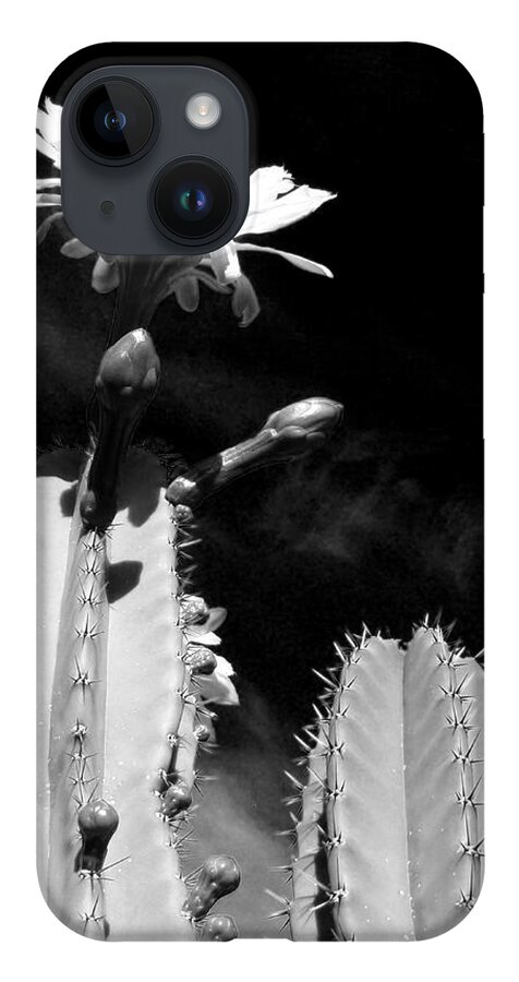 Cactus iPhone 14 Case featuring the photograph Flowering Cactus 2 BW by Mariusz Kula
