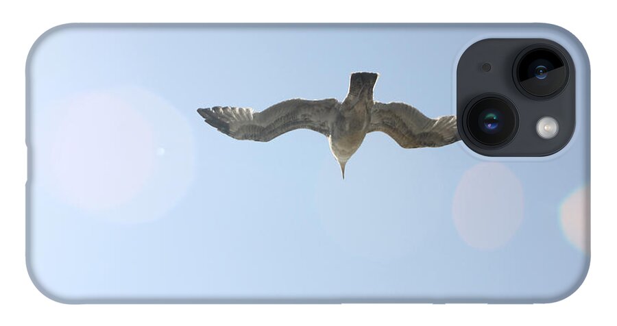 Flying iPhone 14 Case featuring the photograph Flying Free by Diana Haronis