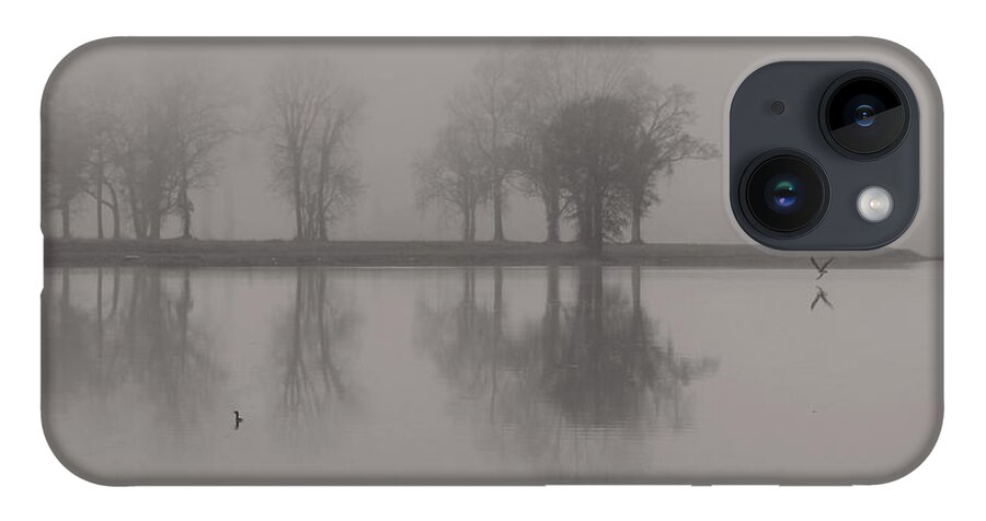 Landscape iPhone 14 Case featuring the photograph Fog and Fishing Eagle by Deborah Smith