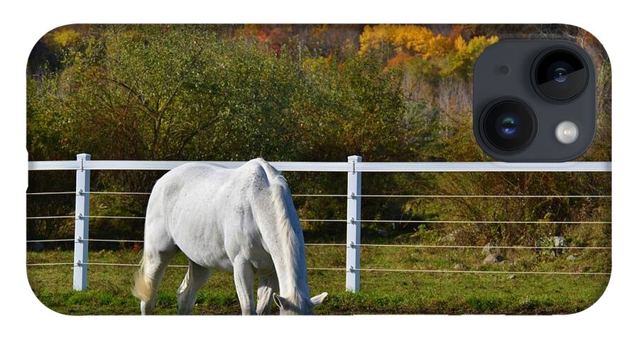 Horse iPhone 14 Case featuring the photograph Foliage at the Farm by Tammie Miller
