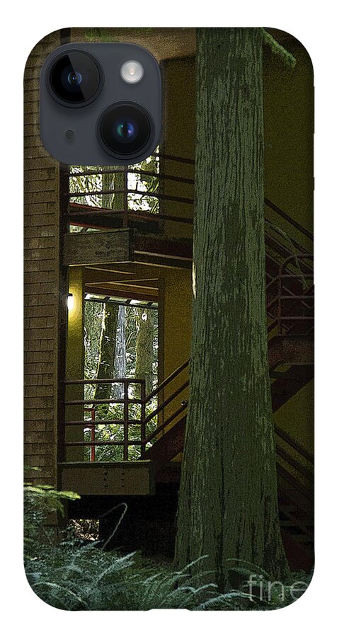Stairway iPhone Case featuring the photograph Forest Stairway by Jeanette French