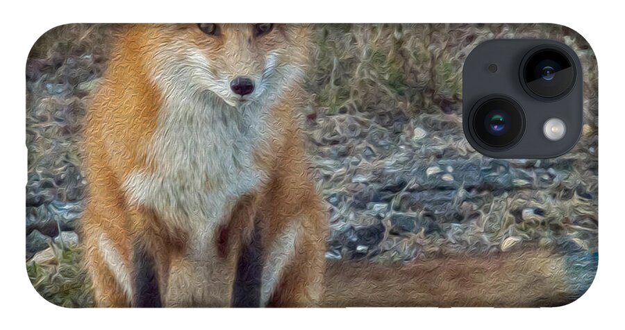 Fox iPhone 14 Case featuring the photograph Fox In Oil by Cathy Kovarik