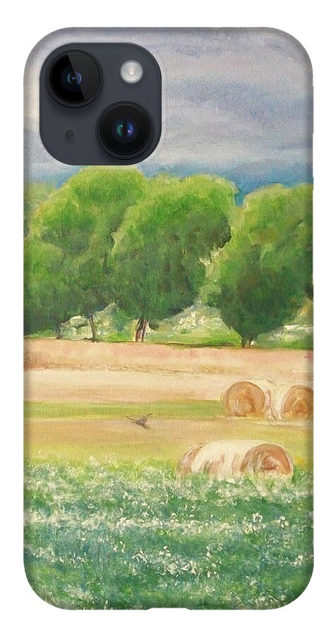 Landscape iPhone 14 Case featuring the painting Freedom by Jane See