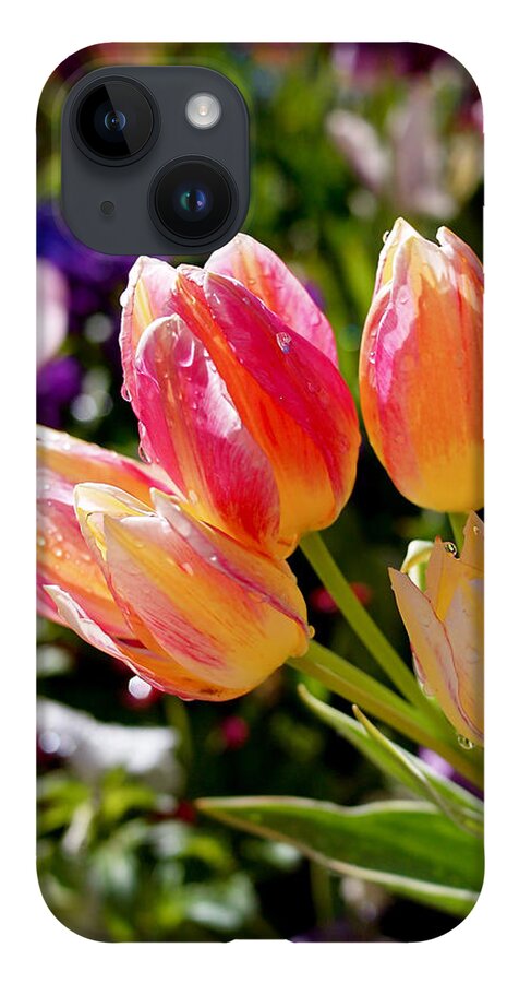 Tulips iPhone 14 Case featuring the photograph Fresh Tulips by Rona Black