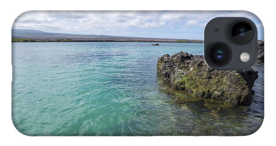 Tui De Roy iPhone 14 Case featuring the photograph Galapagos Sea Lion Elizabeth Bay by Tui De Roy