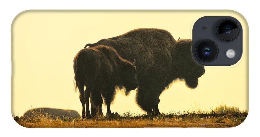 Bison iPhone 14 Case featuring the photograph Generations by Greg Norrell